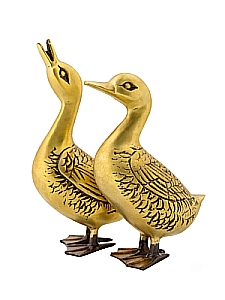 ����: ��������� "�����" ���. �� 2 (�����) � ��2619/4