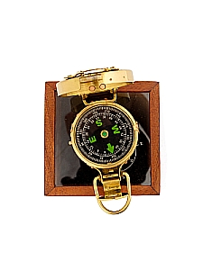 ����: ������ � ���������� ������� ����31/2